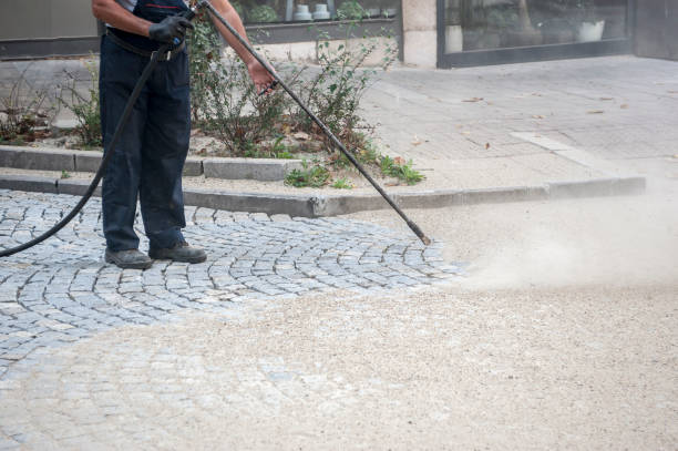 Best Sidewalk and Walkway Cleaning  in Southmont, PA