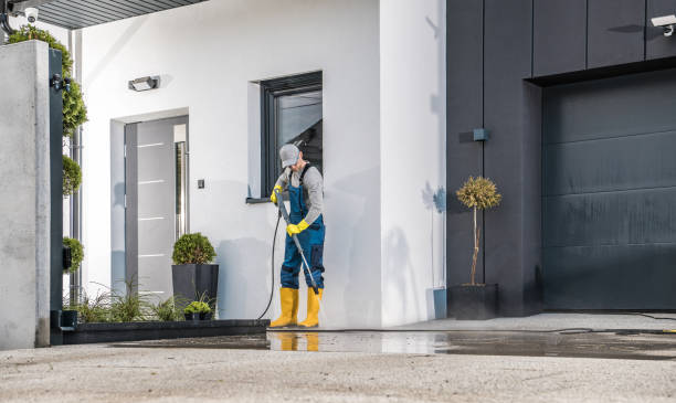 Best Soft Washing  in Southmont, PA